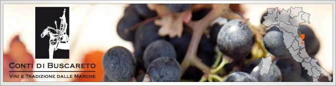 Conti di Buscareto