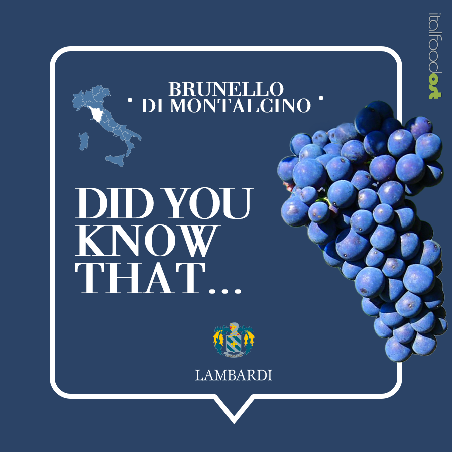 brunello di montalcino lambardi