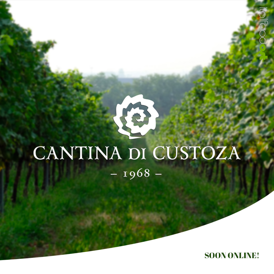 cantina di custoza lago di garda 