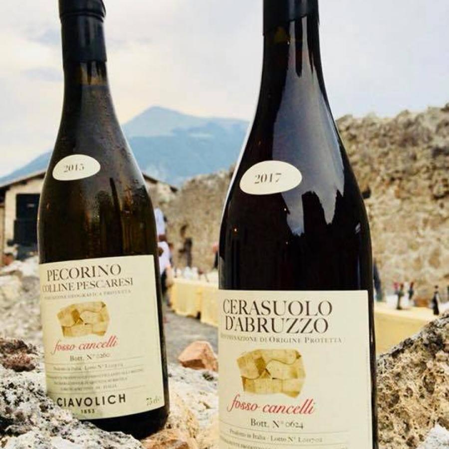 pecorino e cerasuolo fosso cancelli cantina ciavolich