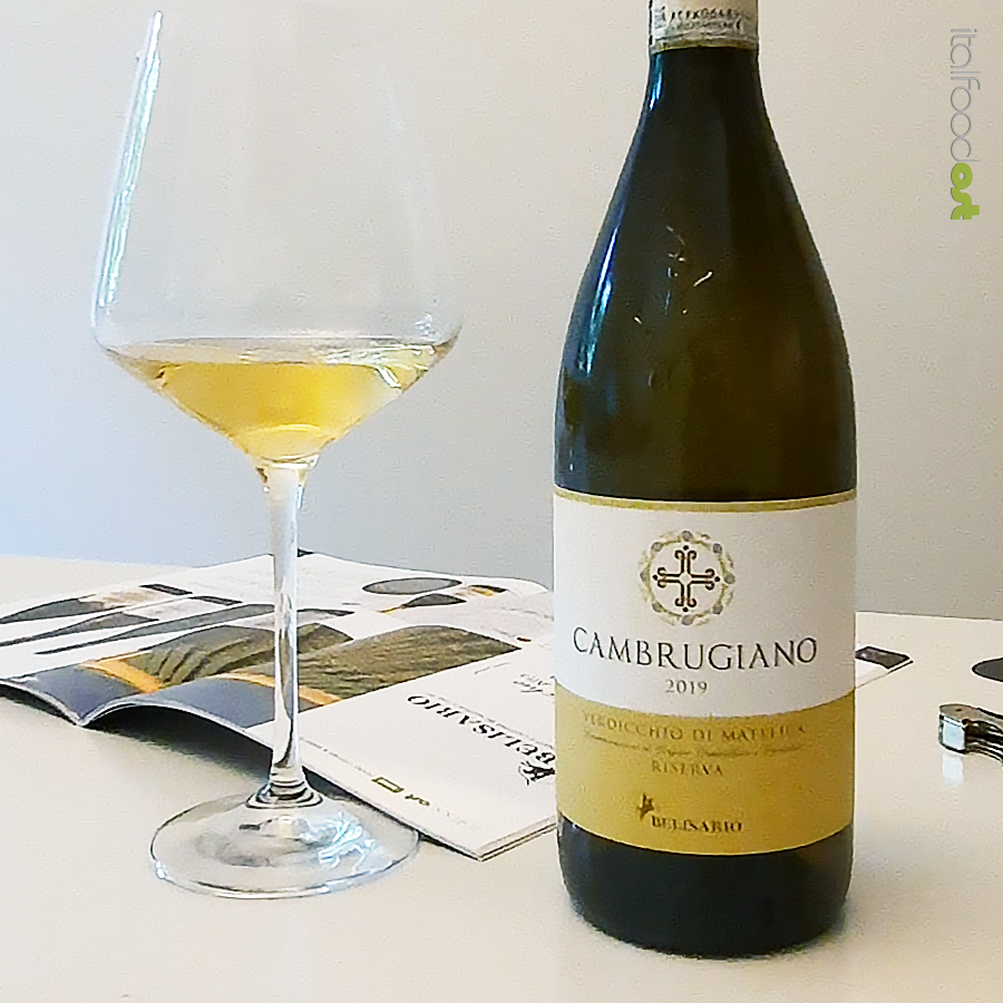 cambrugiano cantine belisario verdicchio di matelica docg riserva