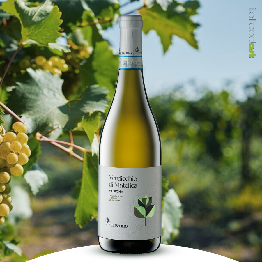 valbona verdicchio di matelica cantina belisario 