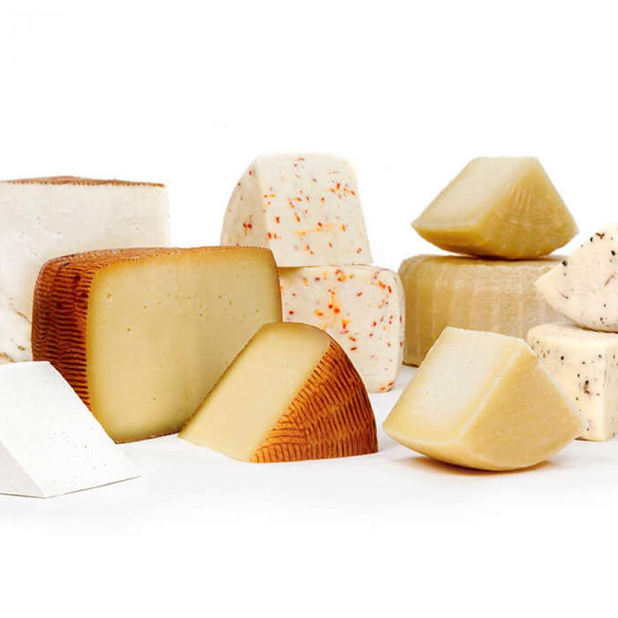 Auricchio: Pecorino der Marke "Gloria"