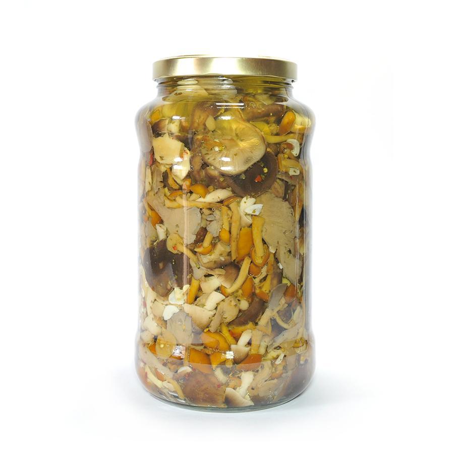 Via Rafi Numero Uno: Pilz-Allerlei