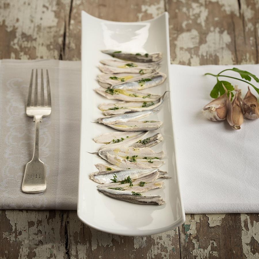 Medusa: Anchovies