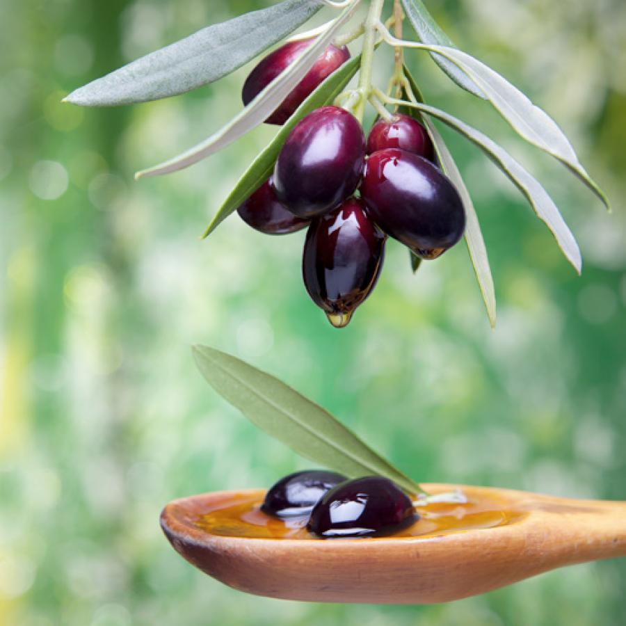 Mira Sud: Extra virgin olive oil - Selezione Ranieri