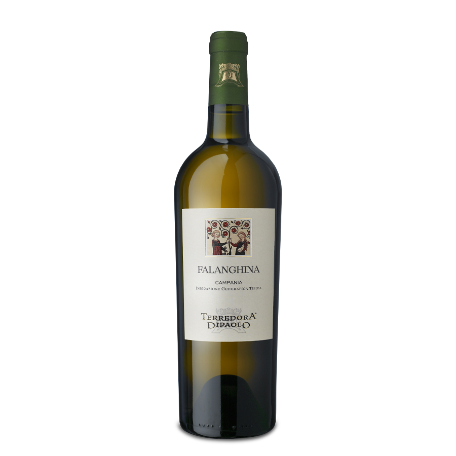 Terredora di Paolo: Falanghina Campania IGT