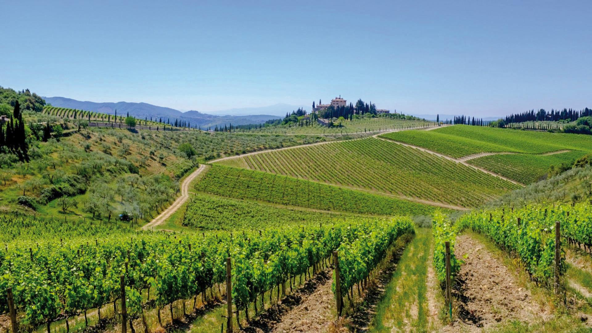 Azienda Agricola Lanciola