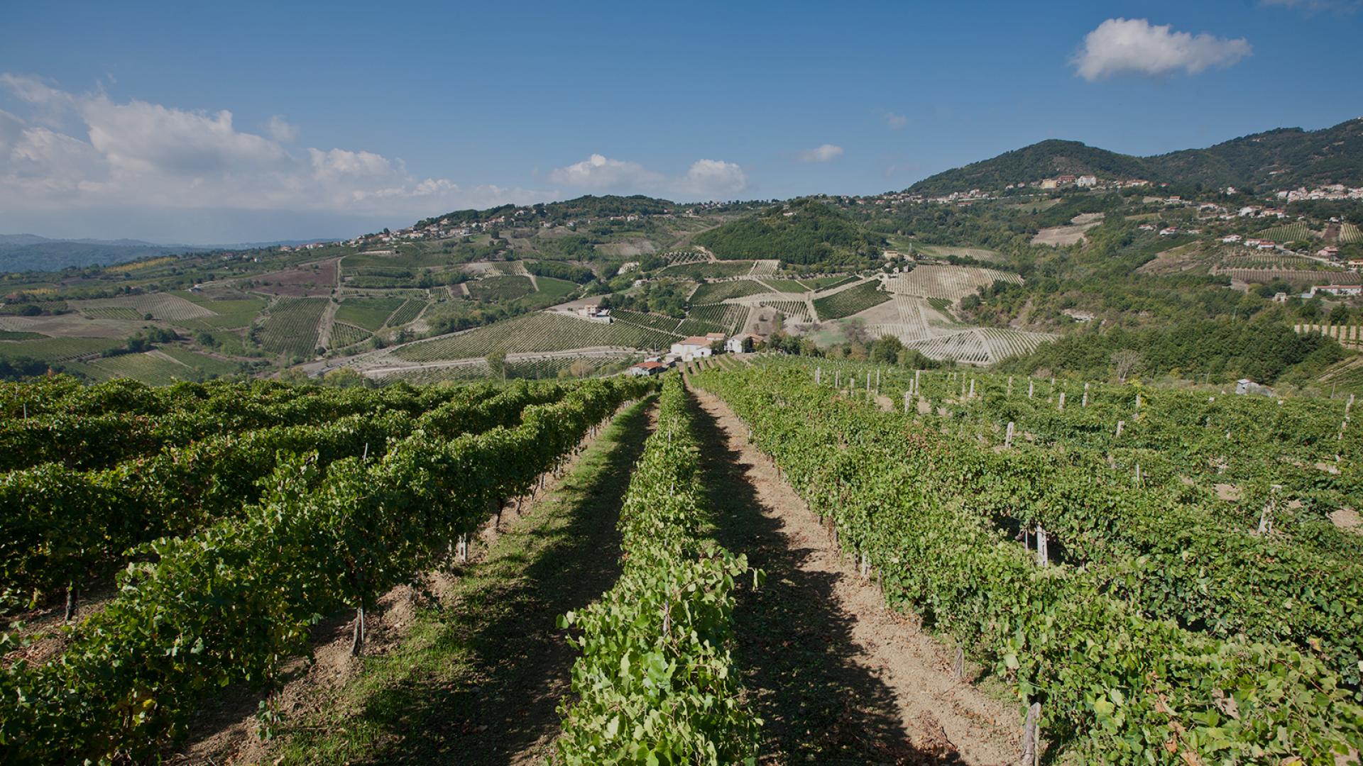 terredora di paolo