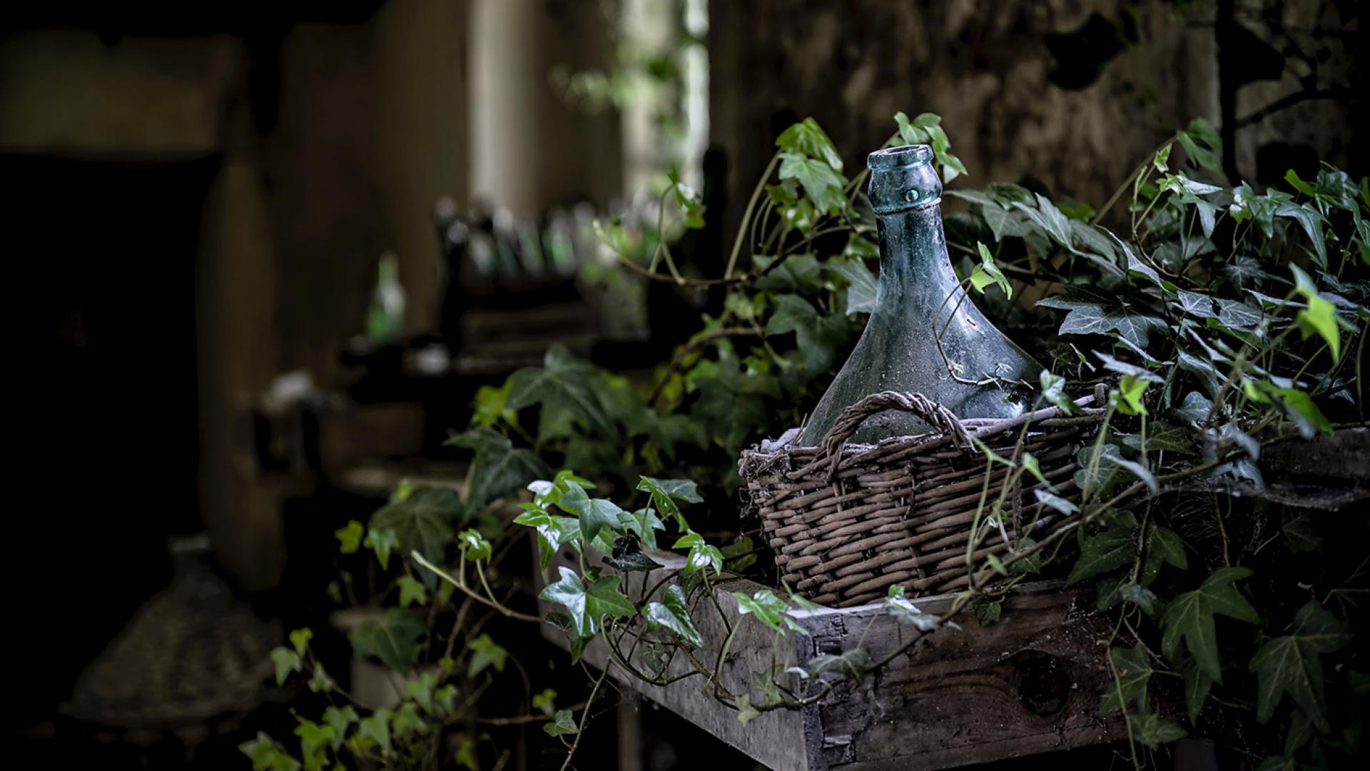 alovini cantina basilicata vulture